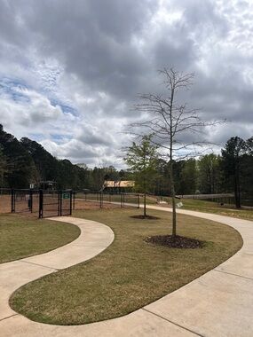 Bless our friends with a letter stainless steel necklace